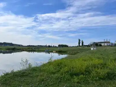 Бишкурай - 32
