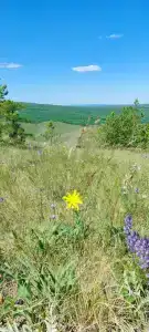 Нурали - 14