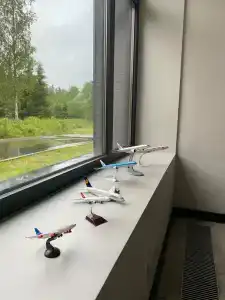 Родина Аэро - 37