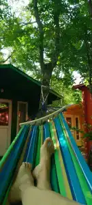 Эколоджия - 89