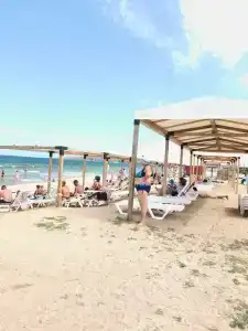Stella di mare - 4