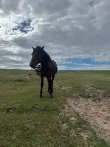 Байкал-Бабр - 14