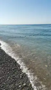 Панорама Sea - 16