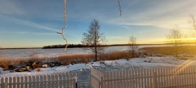 Чайкина дача - 50