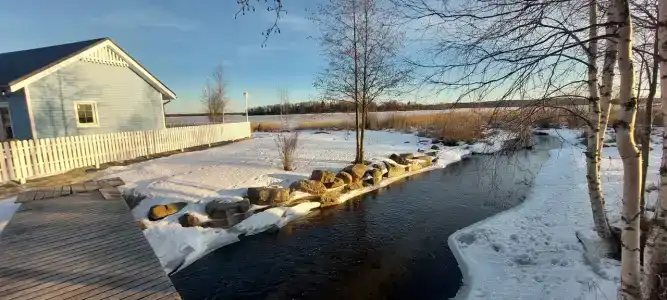 Чайкина дача - 37