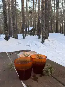 Боровое - 43