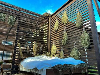 BaikalWood Eco Lodge & Spa - 98