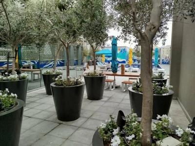Rove Healthcare City - 35