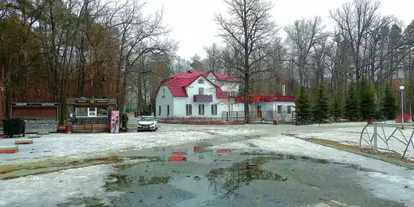 Лесная - 41