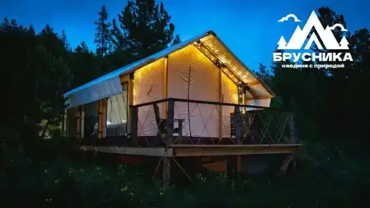 Брусника - 0