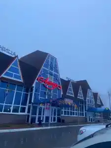 Астра - 12