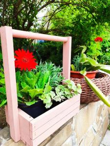 Солнышко - 7