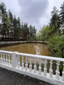 Лесовичок - 29