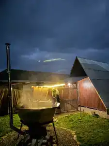 Приют Дара - 10