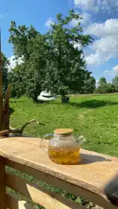 Деслес - 42