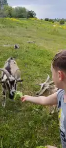 FamilyGlamp Куликово Поле - уютный семейный глэмпинг на берегу реки - 47