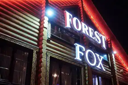 Forest & Fox - 26