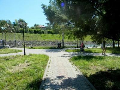Фламинго - 20