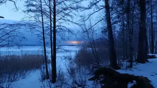 4 Сезона - Нефтяник - 13