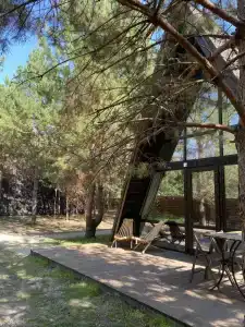 Сосенки Lounge - 90