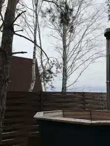 Магия леса - 45