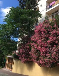 Пальмира - 91