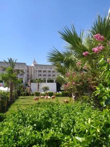 Side Royal Palace - 10