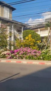 Hilton Garden Inn Phuket Bang Tao - Sha Extra Plus - 22