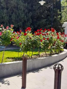 Зазеркалье - 35