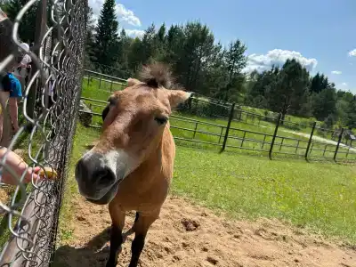 Петровское озеро - 32
