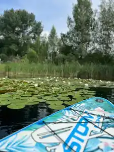 Голубая вода - 38
