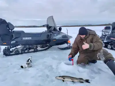 Compass Sosnovaya - 38