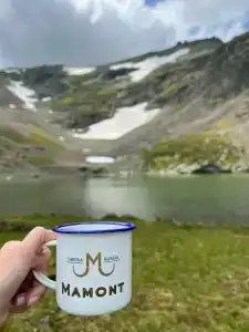 Мамонт - 2