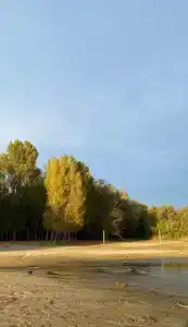 БенелюксДон - 86