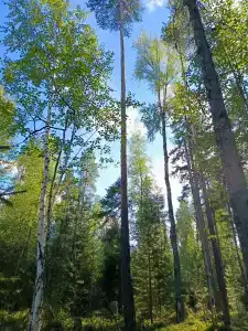 Дом с баней в деревне Горы - 8