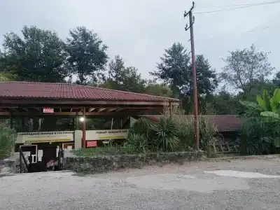 Сероводородный источник - 24