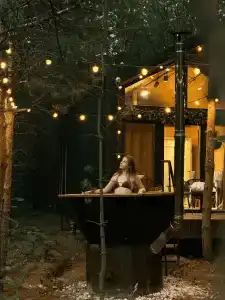 Сосны. Пространствие - 32