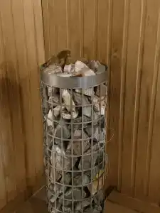 Сосны. Пространствие - 86