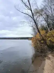 Медвежий Угол - 30