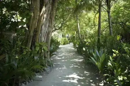 Biyadhoo Island Resort - 47