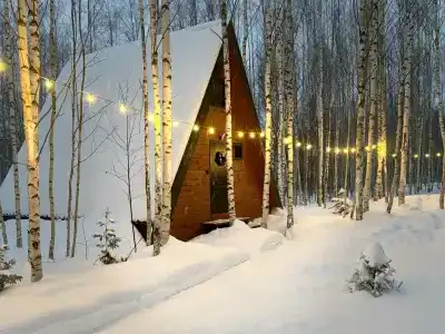 Треугольный домик в лесу с горячей купелью - 2