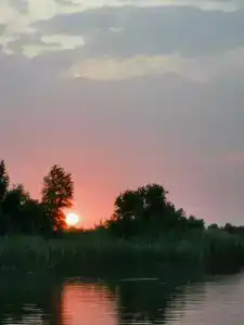 Солнечная поляна - 2