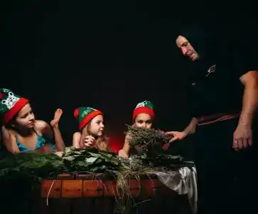 Гуси-Лебеди - 39