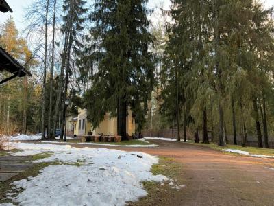 DachaLand - 22