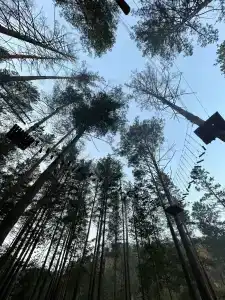 Ранчо 19 - 25