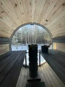 Betula - 69