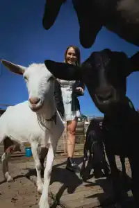 Семейная мини-ферма Фазенда - 23