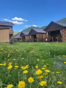 Лесной берег - 0