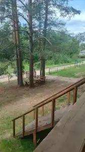 Сарин - 12