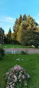 Красный Бор - 86